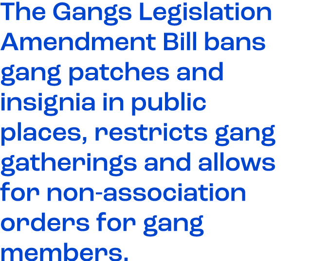 The Gangs Legislation Amendment Bill bans gang patches and insignia in public places, restricts gang gatherings and a...